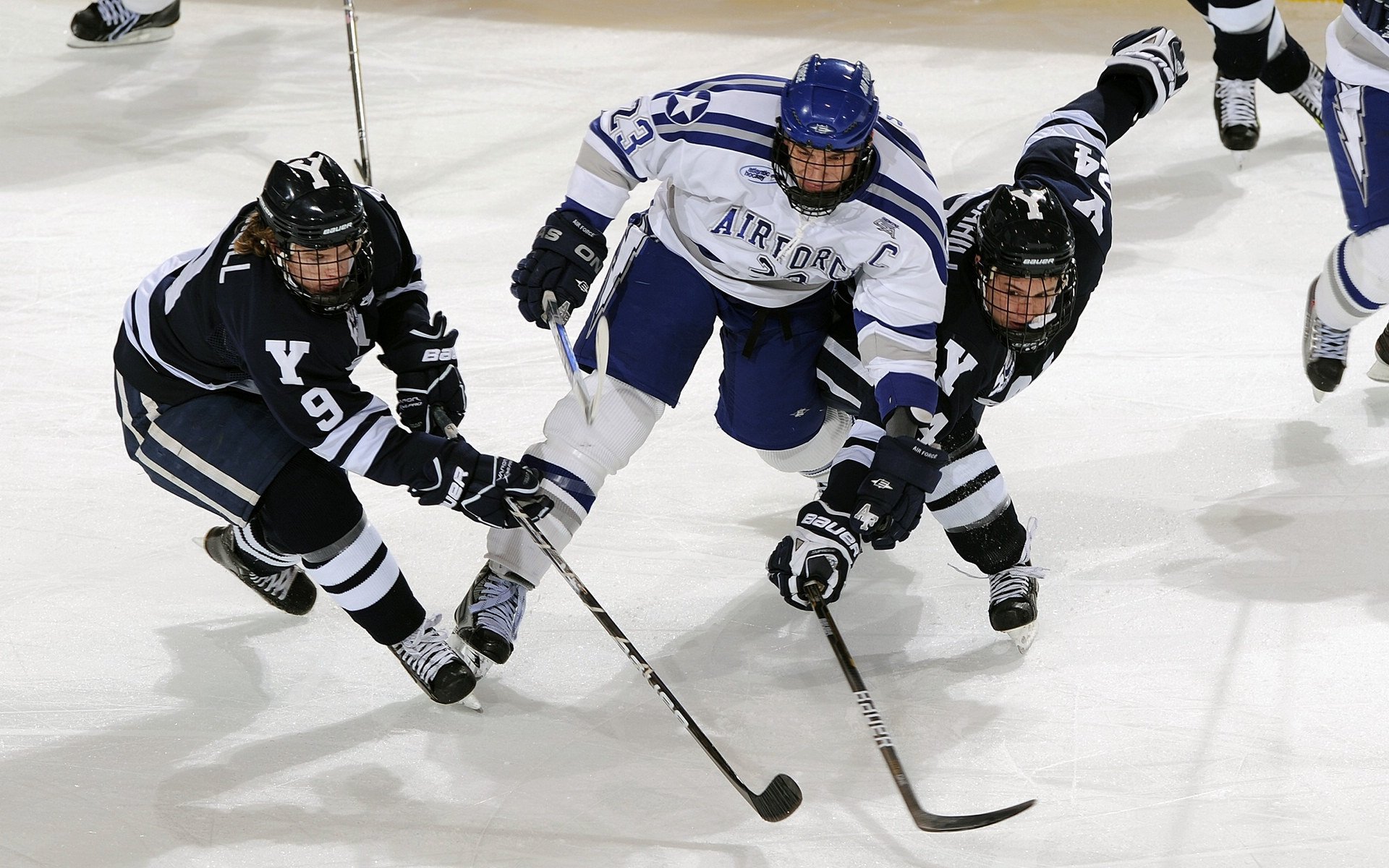 林丹称推广体育需从兴趣培养开始,林丹体育明星成长故事简介